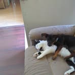 Regina Dearman - Facebook
