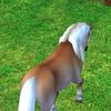 regina_deckup - @regina_deckup - TikTok