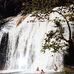 Gina Dowell - Facebook