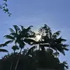 Regina Ward Downing - @regina.ward.downi - TikTok