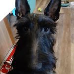 Regina Duncan - @regina.duncan.75098 - Instagram