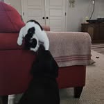 Regina Elder Bryan - @reginabryan1959 - Instagram