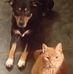 Regina Ernst - Facebook