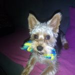 Regina Ernst - @reginaernst65 - Instagram