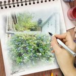 Regina Ernst - @ernst8270 - Instagram
