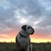 Regina Ernst - Facebook