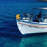 Regina Fishing Trips Paros - @regina_fishing_trips_paros - Instagram