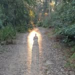 Regina Forrester - @regina.forrester - Instagram