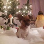 Regina Fowler Thornton - @fowlerthornton - Instagram