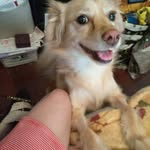 Regina Fuller - @largefamilyof12 - Instagram