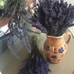 Regina Geissler - @reginageissler7741 - Instagram