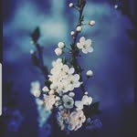 Regina Geist - @reginageist - Instagram