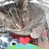 reginageisler - @reginageisler - TikTok