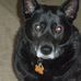 Regina Goad - Facebook