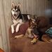 Reginald Grubb - Facebook