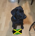Regina Guy - Facebook