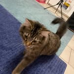 Regina Hahn-Bilo - @hahnbilo - Instagram