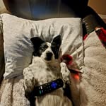 Regina Hailey Smith - @smithgina123 - Instagram