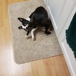 Regina Hammer - @ever4rmh - Instagram
