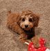 Regina Hanson - Facebook