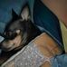 Regina Hellard - Facebook