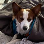 Regina Herrmann - @puba_on_tour_ - Instagram