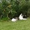 Regina Herrmann - @regina.herrmann7 - TikTok