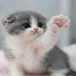 Regina Herrmann - @reginaherrmann120 - Instagram