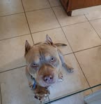 Reginald Hyder - Facebook