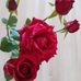 Regina Jan - Facebook