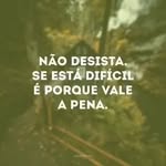Regina Jaques - @reginajaques2 - Instagram