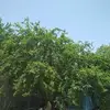 Reginal Jerome - @reginal.jerome - TikTok