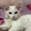 regina_jordan7 - @regina_jordan7 - TikTok