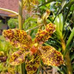 Lastri Saja - @regina_lasterie - Instagram