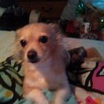 Regina Lockard - @lockardregina - Instagram