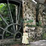 Regina Major Chic Parkinson - @dipp_ed_in_sugar_ - Instagram