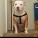 Reginald Majors - Facebook