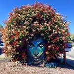 Regina Campbell-Malone - @drrcmalone - Instagram