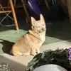 Regina Malone - @regina.malone6 - TikTok