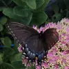 reginamarsh750 - @reginamarsh750 - TikTok