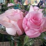 Regina Mathis - @regina.mathis1034 - Instagram
