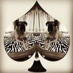 Regina Mathis Hallberg - @regnstumpy - Instagram