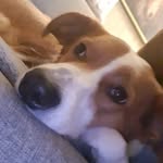 Regina Mayer - @regina.mayer.58 - Instagram