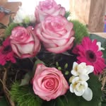 Regina Mayer - @regina.mayer.77920526 - Instagram