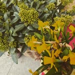 Regina Mayer - @regi_myer - Instagram