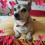 Regina McBride - @regina.mcbride.75 - Instagram
