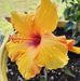 Regina McKee - Facebook