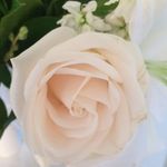 Regina McKee - @regina.gtegorymckee - Instagram