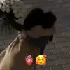 💖✨_Sefa_mea_💖✨ - @regina_mea07 - TikTok