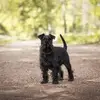 Regina Moritz - @regina.moritz - TikTok